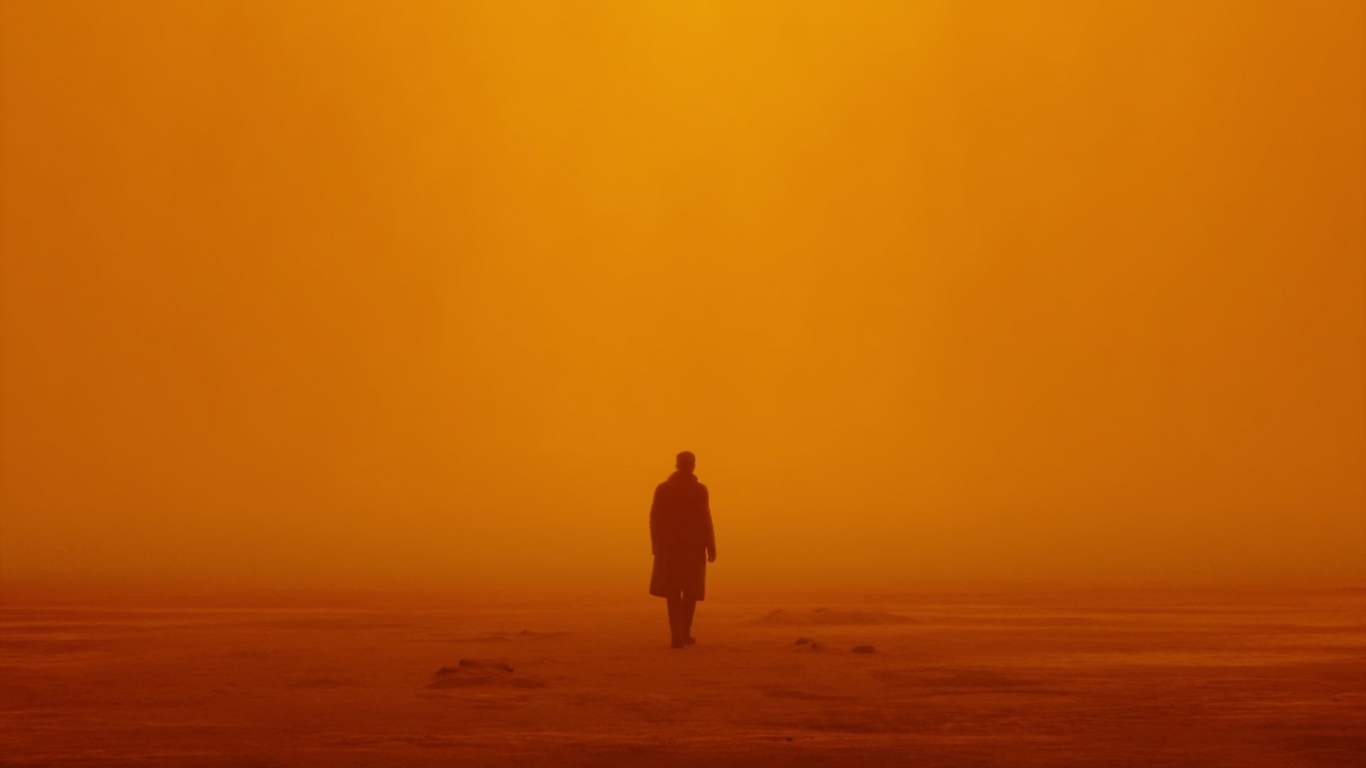 Blade Runner 2049: Building a Better Dystopia | Jason Petersen